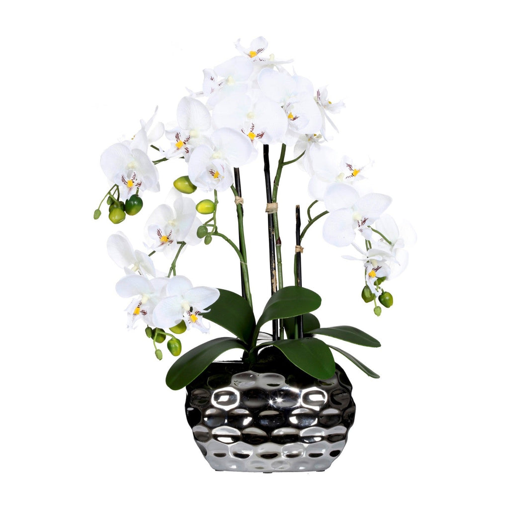 Creativ green Potted Artificial Orchid Arrangement in Silver Pot, 23" tall