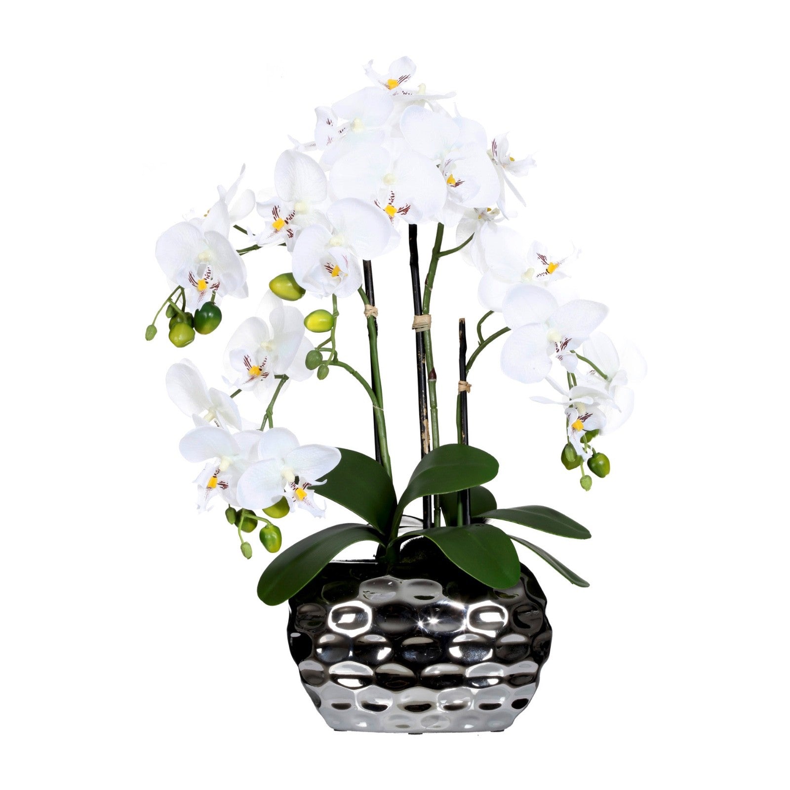 Creativ green Potted Artificial Orchid Arrangement in Silver Pot, 23" tall